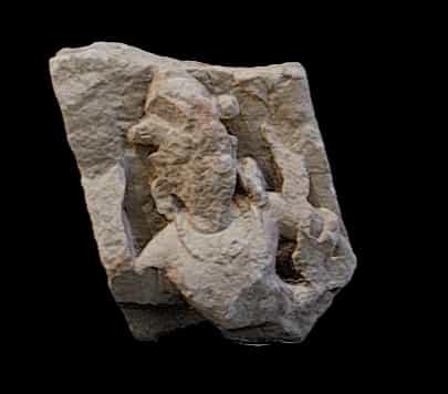 Vidhyadhara