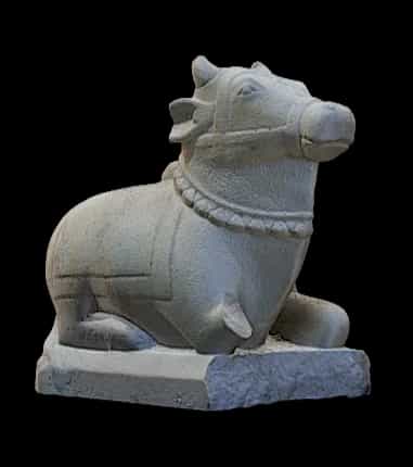 Nandi