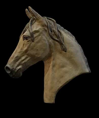Horse Head