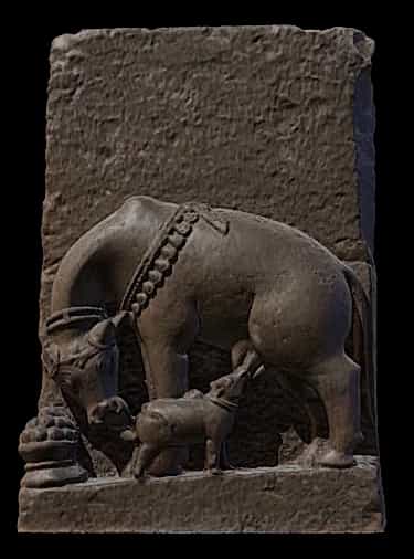 Kamdhenu