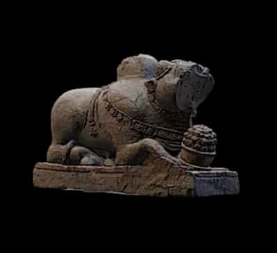 Nandi 