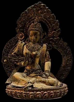 Tara