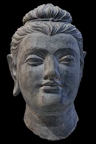 Buddha Head