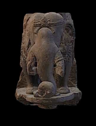 Rising elephant 